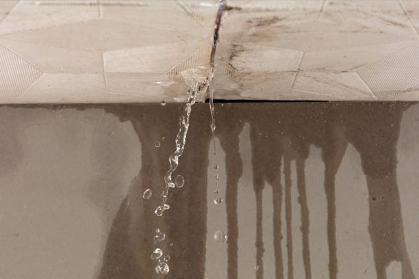 Professional Sewage Cleanup technician working in Peach Springs, AZ